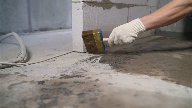 Top rated local Waterproofing specialists in Rosalia, KS